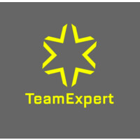 TeamExpert logo - Similar company to Matchwinner