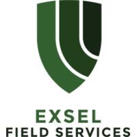 Exsel Field Services logo - Similar company to Exsel Group