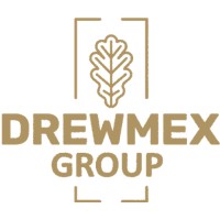 Drewmex Group logo - Similar company to Flux5 Group