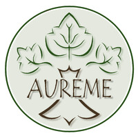AUREME. (Association Universitaire Rennaise Economie et Management de l'Environnement). logo - Similar company to Tc Focus