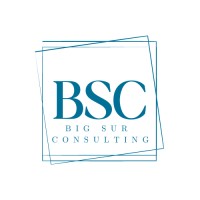 Big Sur Consulting logo - Similar company to Iterando