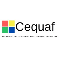 CEQUAF logo - Similar company to Ms Insights Development