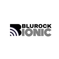 Blurock Ionic logo - Similar company to Seerror