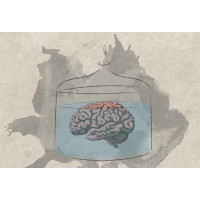 Skepticus INC logo - Similar company to Driway Technologies