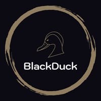 BLACKDUCK LEARNING logo - Similar company to Blackduck Solutions