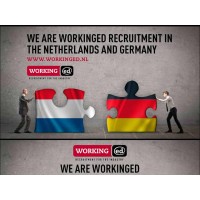 WorkingED - (Inter)national Recruitment Germany & Netherlands logo - Similar company to Highmark Solutions