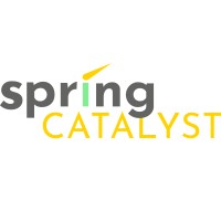 Spring Catalyst logo - Similar company to Playsav