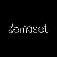 temaset logo - Similar company to Playstrategy