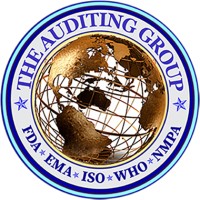 The Auditing Group logo - Similar company to Affirm8 Consultancy