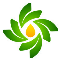 Borneo Damai Lestari Raya logo - Similar company to Keberlanjutan
