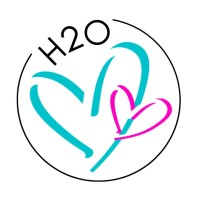 H2O Network logo - Similar company to Kastoo Surveying