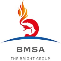 The Bright Group logo - Similar company to Smukeliso Mining Solutions