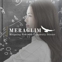 Meraglim Holdings Corporation logo - Similar company to Caliburn Capital Llc