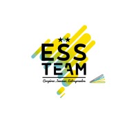 Essteam logo - Similar company to Level Up Cluster