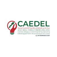 CAEDELs logo - Similar company to Groupes Des Instituts Excel Marrakech