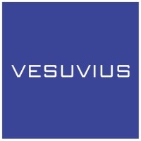 VESUVIUS MÉXICO logo - Similar company to Vesuvius