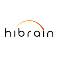 HIBRAIN logo - Similar company to Solva Technology