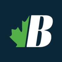 Braun Solar Services logo - Similar company to Chinook Solar