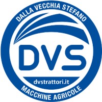 DVS S.r.l. logo - Similar company to Faggioli Srl