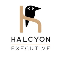 Halcyon Executive logo - Similar company to Diane Conseil