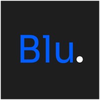 BluShard logo - Similar company to Digiproctor