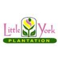 Little York Plantation Llc