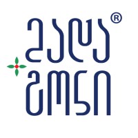 Madagoni Holding logo - Similar company to Alcorius Llc