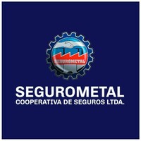 Segurometal logo - Similar company to Seguro Metal