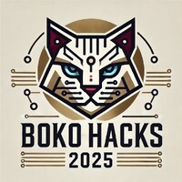 Boko Hacks 2025 logo - Similar company to Shpe Txst
