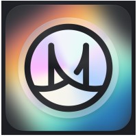 Meso logo - Similar company to Blindpay (Yc W25)