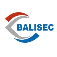 Balisec SA logo - Similar company to Infinite Solutions Intl