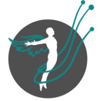 Magnificent Systems logo - Similar company to Custom Solutions