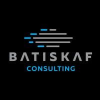 Batiskaf Consulting logo - Similar company to Feeba.Io