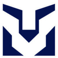 Lyonis Management logo - Similar company to Vectra Management Group