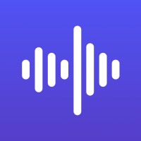 Soundwave logo - Similar company to Soundwave.Com