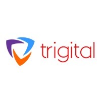Trigital Technologies Pvt Ltd logo - Similar company to Flerid Technologies