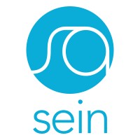 Sein Analytics logo - Similar company to Techie Recruiters Llc