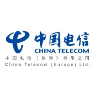 China Telecom Europe logo - Similar company to Telecom Council