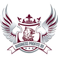 Business Profits 101 logo - Similar company to Geoff Seow Coaching