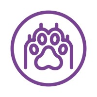 GoBuddy logo - Similar company to Lemonfrog Ag