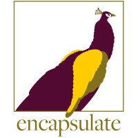 Encapsulate Luxury Gifts and Experiences logo - Similar company to Encapsulate, Llc