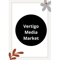 Vertigo Media Market logo - Similar company to Cloudsight Surveillance Network