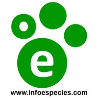 Infoespecies.com logo - Similar company to Howtospenditethically.Org