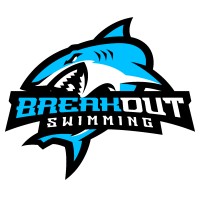 Breakout Swimming logo - Similar company to Stichting Hofspetters