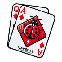 QAredas logo - Similar company to Horizon Academies