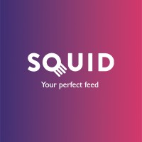 Squid logo - Similar company to Squid