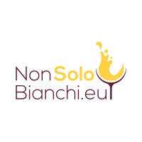 NonSoloBianchi.eu logo - Similar company to Vinoland