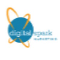 Digital Spark Marketing logo - Similar company to Hangar 5 Technologies