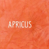 Apricus By Sanskriti logo - Similar company to Your Co-Author
