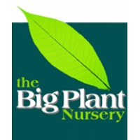 The Big Plant Nursery logo - Similar company to Adempi Associates